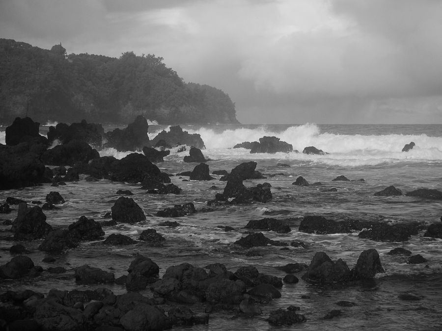 Rocky shore 1