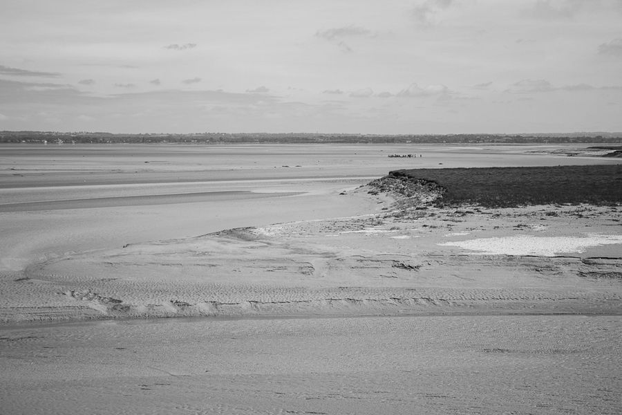 Crowd on the tidal flat