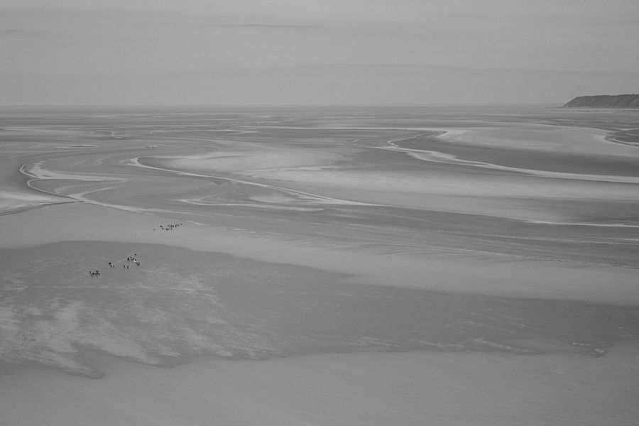 Journey across a tidal flat