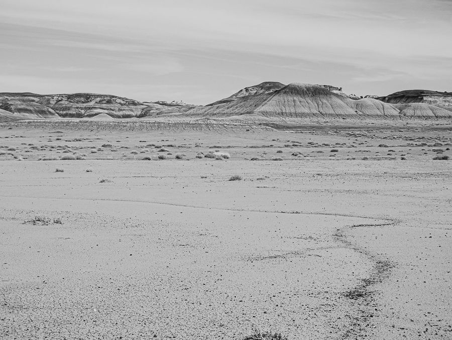 Painted dunes