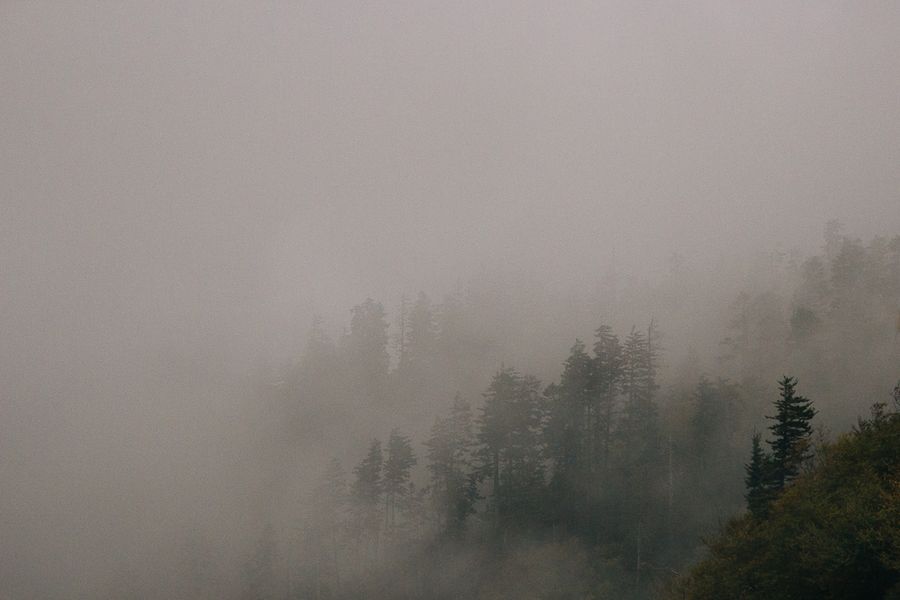 Smokey mountain fog