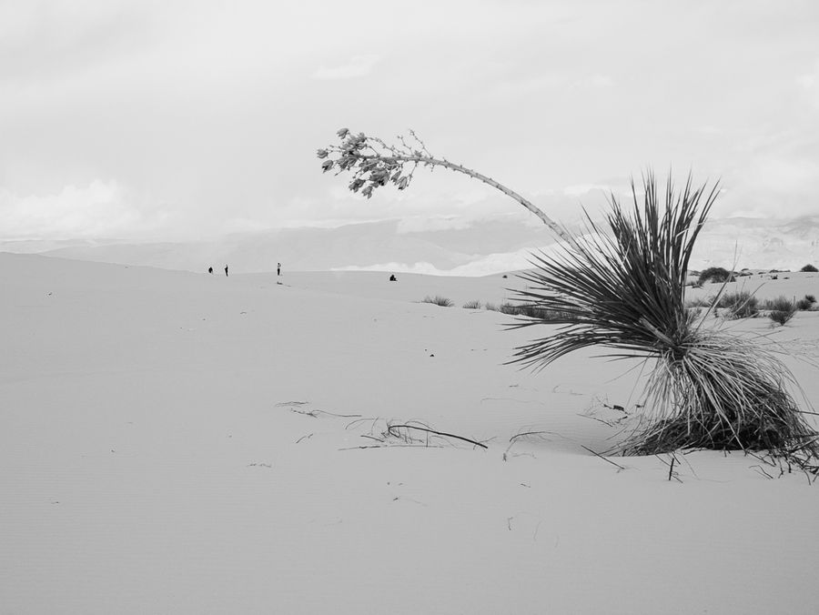 White sand composition