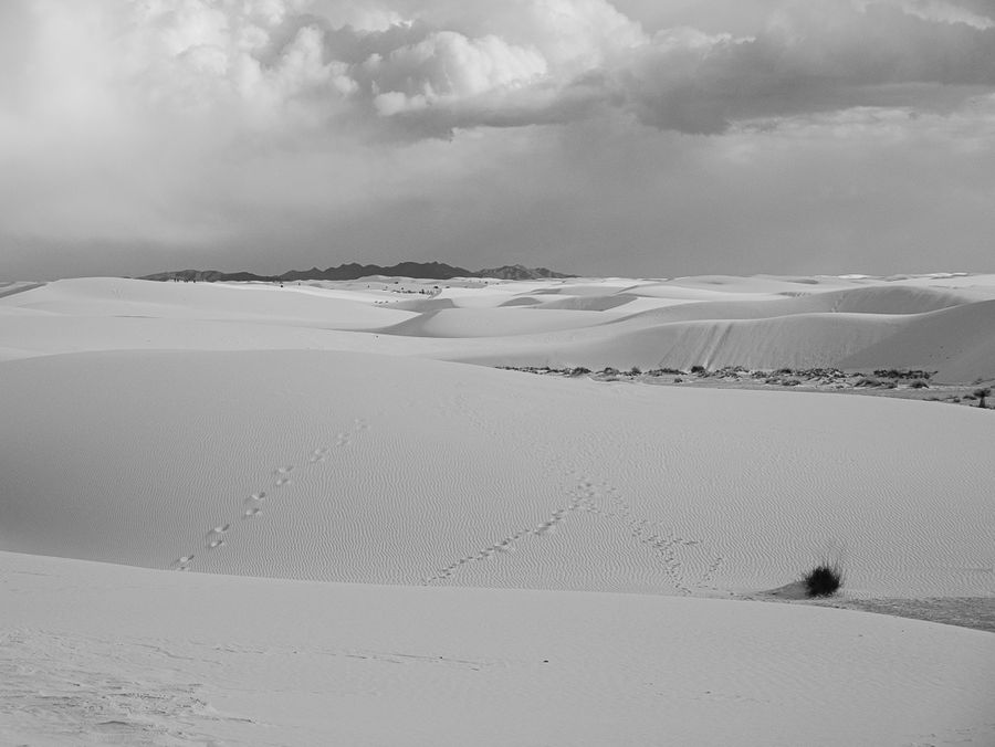 White sand dunes
